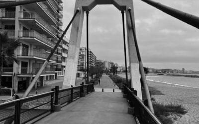 La Ejecución de las sentencias firmes de despido (parte 1)