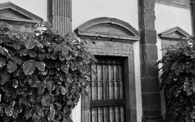 La excedencia voluntaria y sus peculiaridades