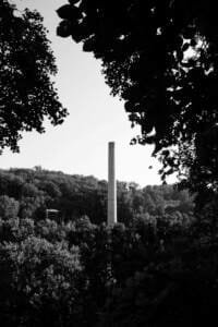 complemento de paternidad