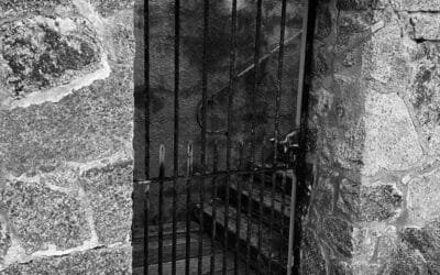 ¿Cómo es el reparto de la Pensión de Viudedad?