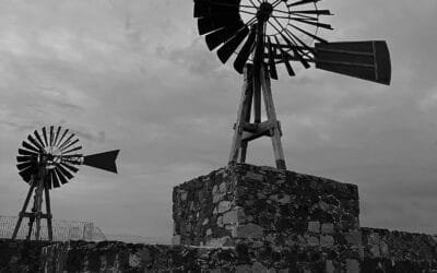 Nuevo Año Judicial 2026 y Jurisdicción Social